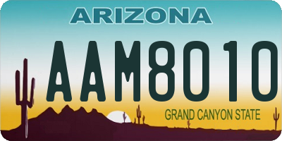 AZ license plate AAM8010