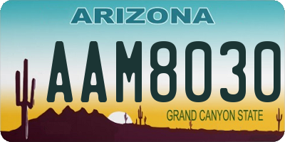 AZ license plate AAM8030