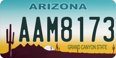 AZ license plate AAM8173