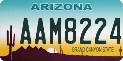 AZ license plate AAM8224