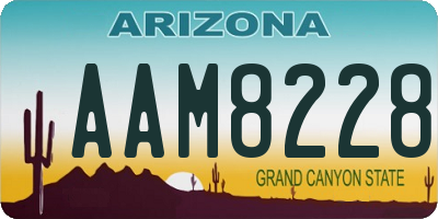 AZ license plate AAM8228