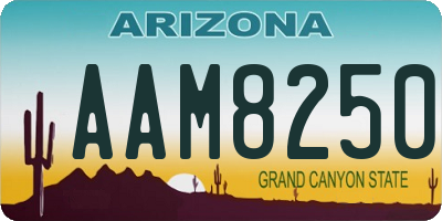 AZ license plate AAM8250