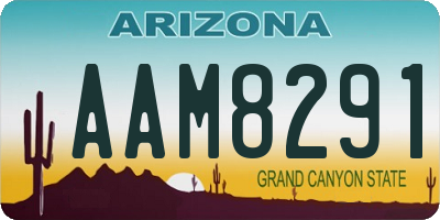 AZ license plate AAM8291
