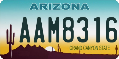 AZ license plate AAM8316