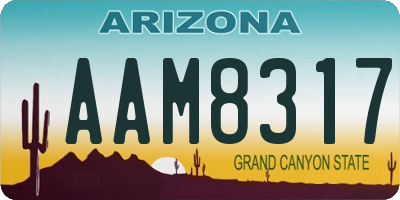AZ license plate AAM8317