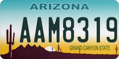 AZ license plate AAM8319