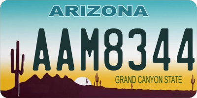 AZ license plate AAM8344