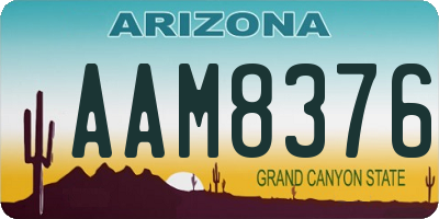 AZ license plate AAM8376