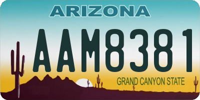 AZ license plate AAM8381