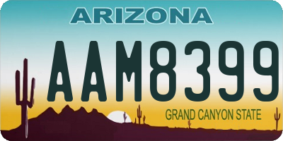 AZ license plate AAM8399