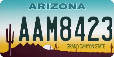 AZ license plate AAM8423