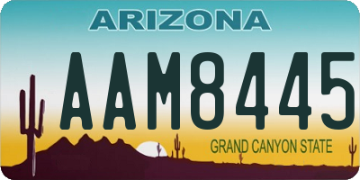 AZ license plate AAM8445