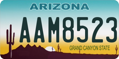 AZ license plate AAM8523