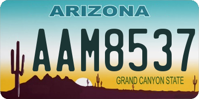 AZ license plate AAM8537