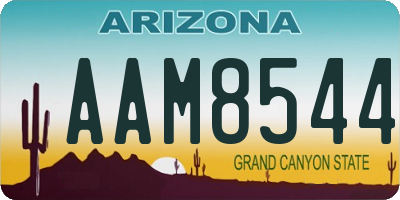 AZ license plate AAM8544