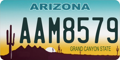 AZ license plate AAM8579