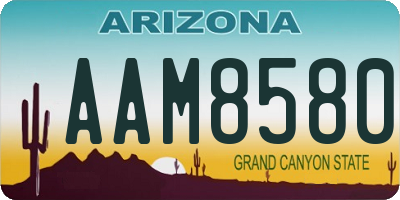 AZ license plate AAM8580