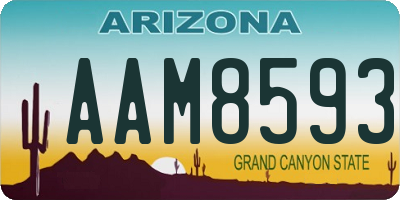 AZ license plate AAM8593