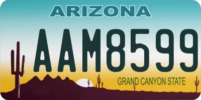 AZ license plate AAM8599