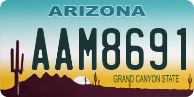 AZ license plate AAM8691