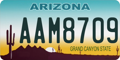 AZ license plate AAM8709