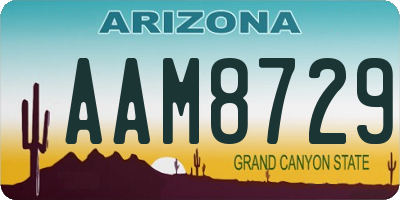 AZ license plate AAM8729