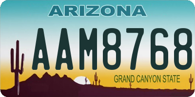 AZ license plate AAM8768