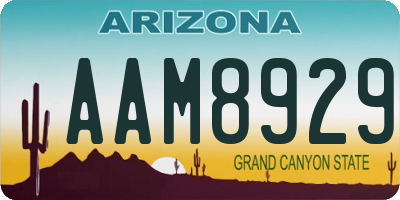 AZ license plate AAM8929