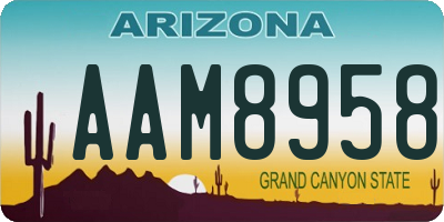 AZ license plate AAM8958