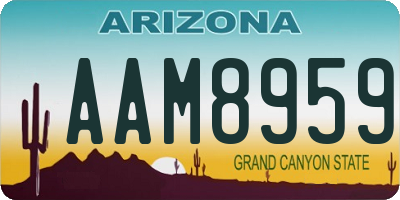 AZ license plate AAM8959