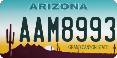 AZ license plate AAM8993