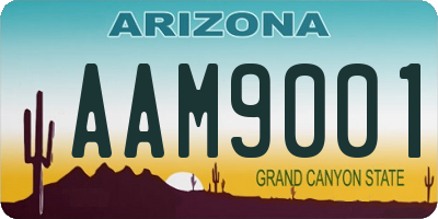 AZ license plate AAM9001
