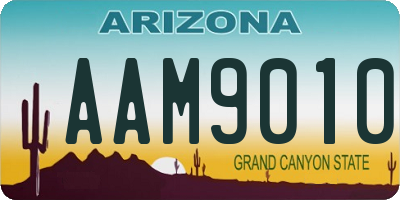 AZ license plate AAM9010