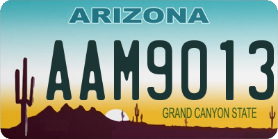 AZ license plate AAM9013