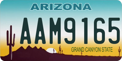 AZ license plate AAM9165