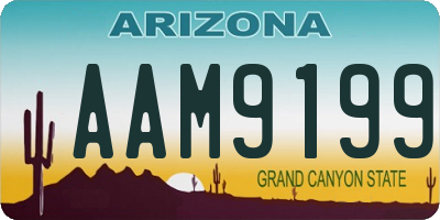 AZ license plate AAM9199