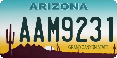 AZ license plate AAM9231