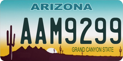 AZ license plate AAM9299