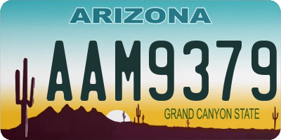 AZ license plate AAM9379