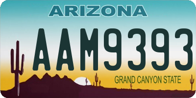 AZ license plate AAM9393