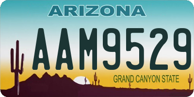 AZ license plate AAM9529