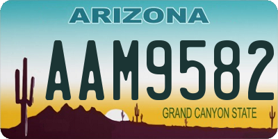 AZ license plate AAM9582