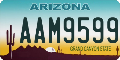 AZ license plate AAM9599