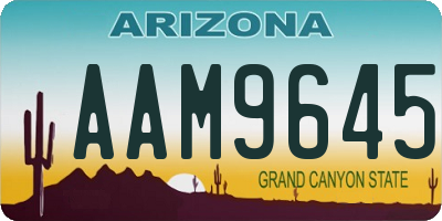 AZ license plate AAM9645