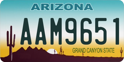 AZ license plate AAM9651