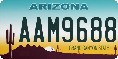 AZ license plate AAM9688