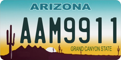 AZ license plate AAM9911