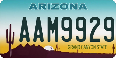 AZ license plate AAM9929