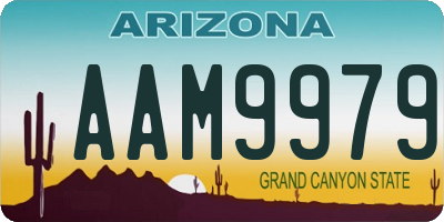 AZ license plate AAM9979