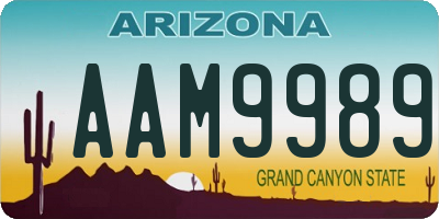 AZ license plate AAM9989